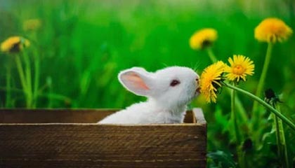 米乐M6中国大陆-中国足球热潮如何扣动万亿产业链的扳机？